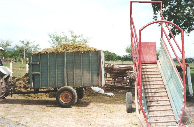 remolques agrícolas cisternas plataformas Ganaderías Tecnificadas maderplast Corral Saladero Comedero establo Postes maderplast plástico maderplast esparcidores de estiércol remolque esparcidor plataformas remolcador para transporte agrícola basculante plataformas o zorra tractor 0123 remolques agrícolas cisternas plataformas plástico maderplast esparcidores de estiércol remolque esparcidor plataformas remolcador para transporte agrícola basculante plataformas o zorra tractor 00123456789 remolques agrícolas cisternas plataformas Ganaderías Tecnificadas maderplast Corral Saladero Comedero establo Postes maderplast plástico maderplast esparcidores de estiércol remolque esparcidor plataformas remolcador para transporte agrícola basculante plataformas o zorra tractor 0123 remolques agrícolas cisternas plataformas plástico maderplast esparcidores de estiércol remolque esparcidor plataformas remolcador para transporte agrícola basculante plataformas o zorra tractor 00123456789